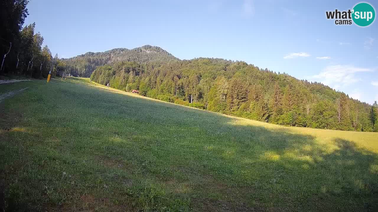 RTC Kranjska Gora | Brsnina