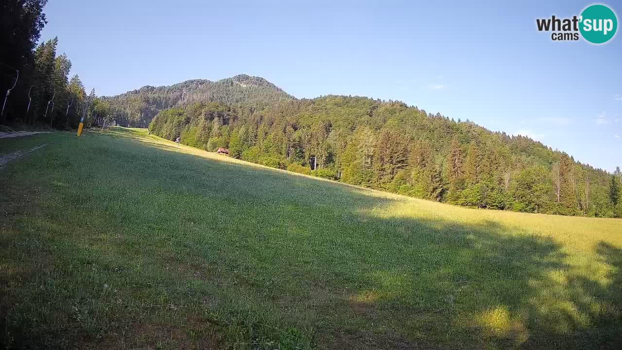 RTC Kranjska Gora | Brsnina