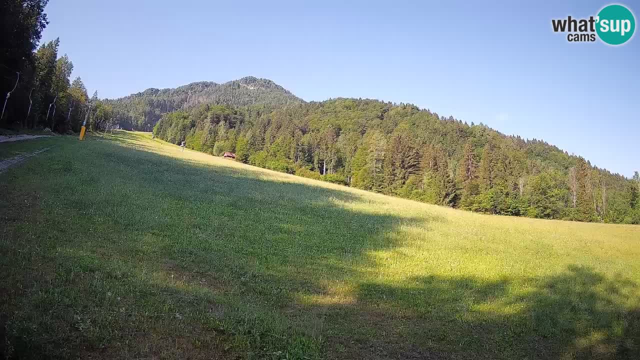 Ski Kranjska Gora | Brsnina