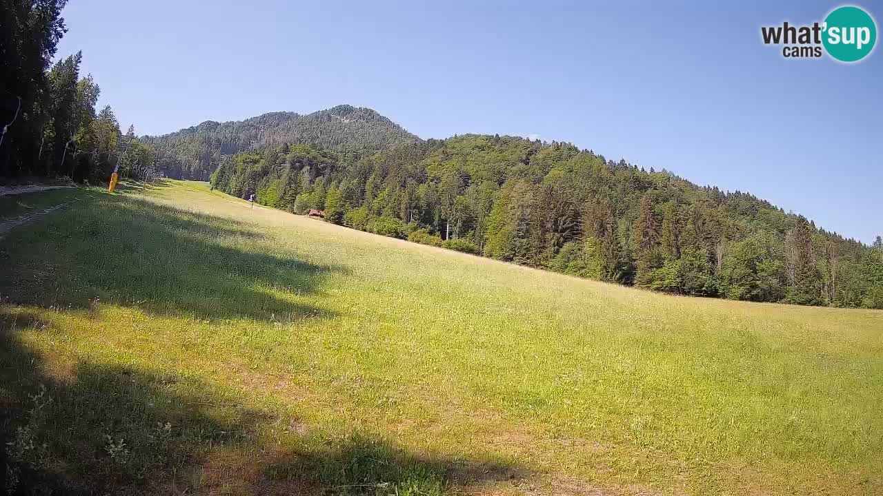 Kranjska Gora Station de ski | Brsnina