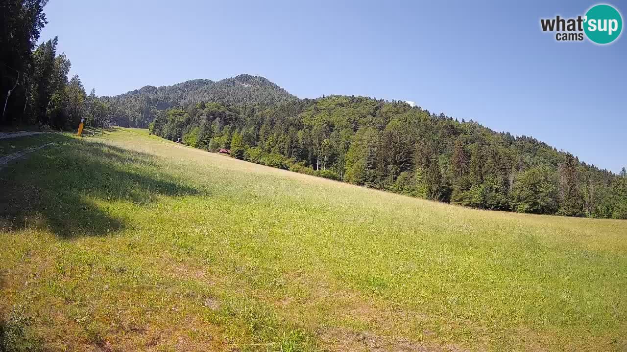 Ski Kranjska Gora | Brsnina