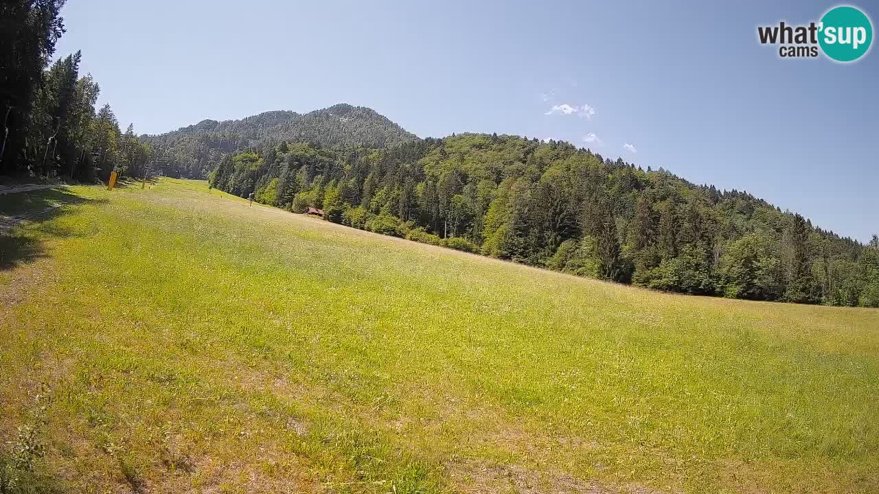 RTC Skigebiet Kranjska Gora | Brsnina