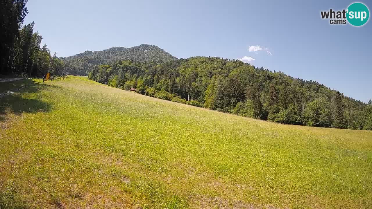 RTC Skigebiet Kranjska Gora | Brsnina