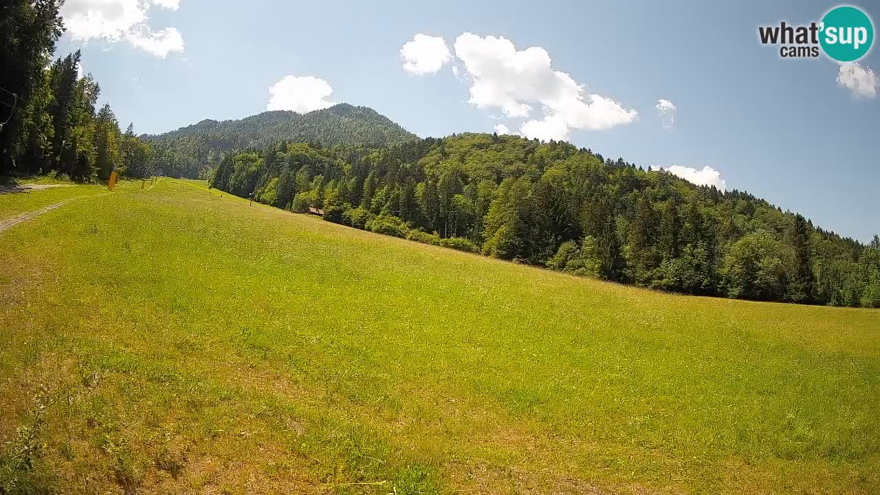 Kranjska Gora Station de ski | Brsnina