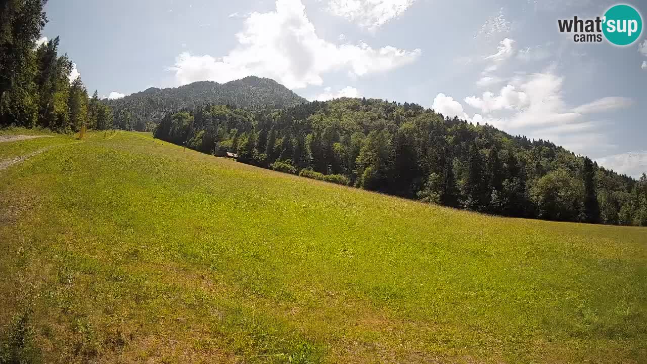 Comprensorio sciistico Kranjska Gora | Brsnina