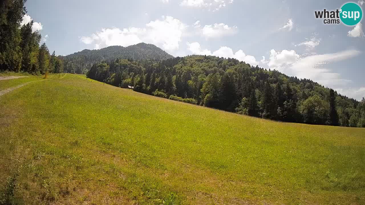 RTC Kranjska Gora | Brsnina