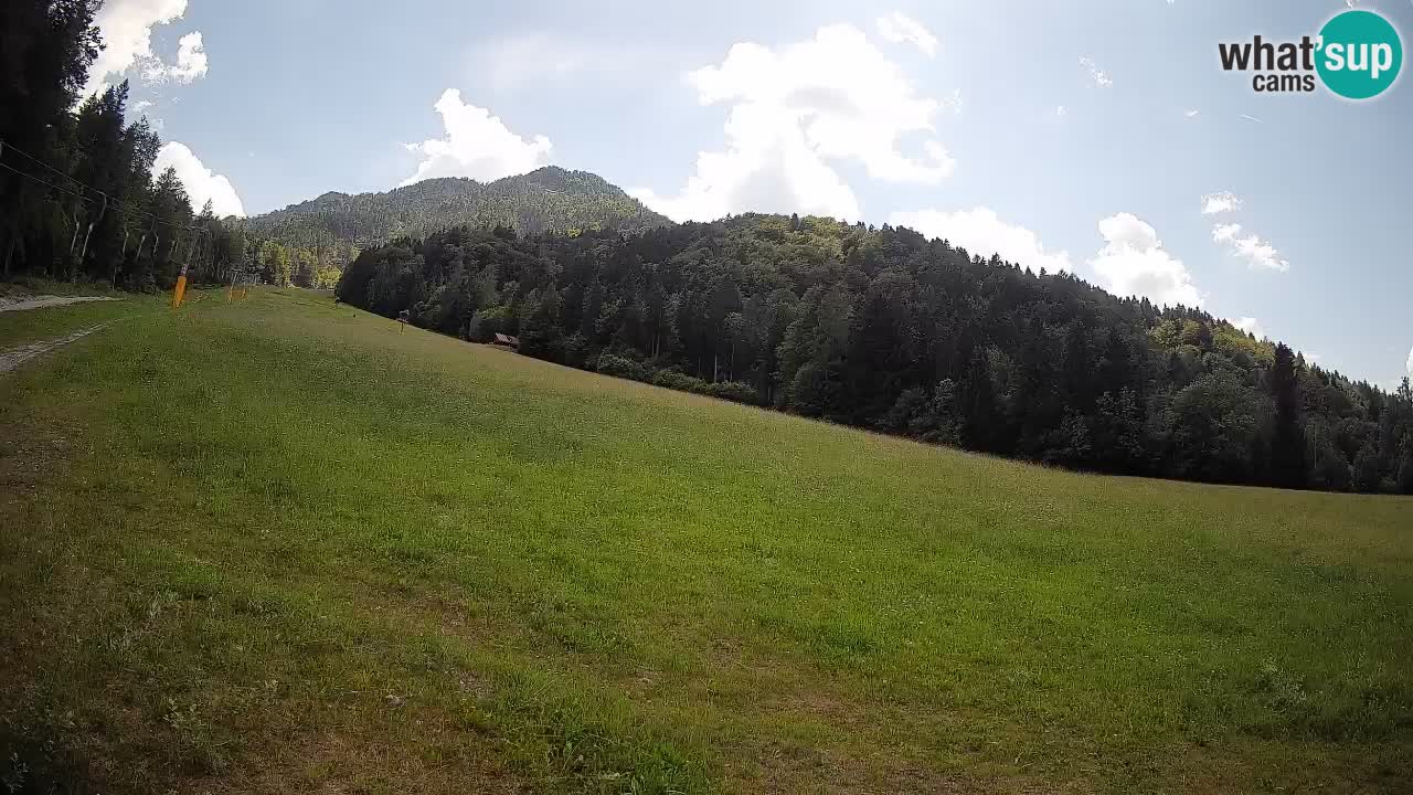 Kranjska Gora Station de ski | Brsnina