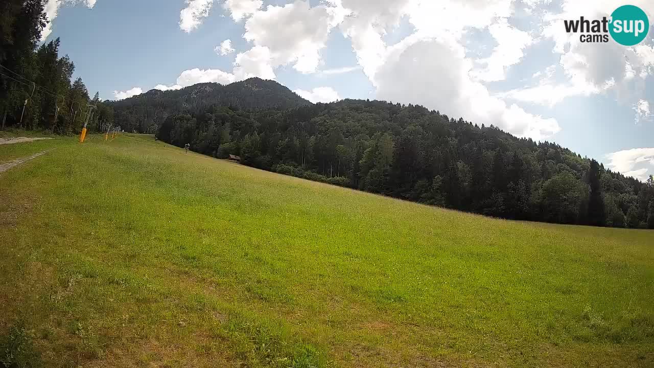 Kranjska Gora Station de ski | Brsnina