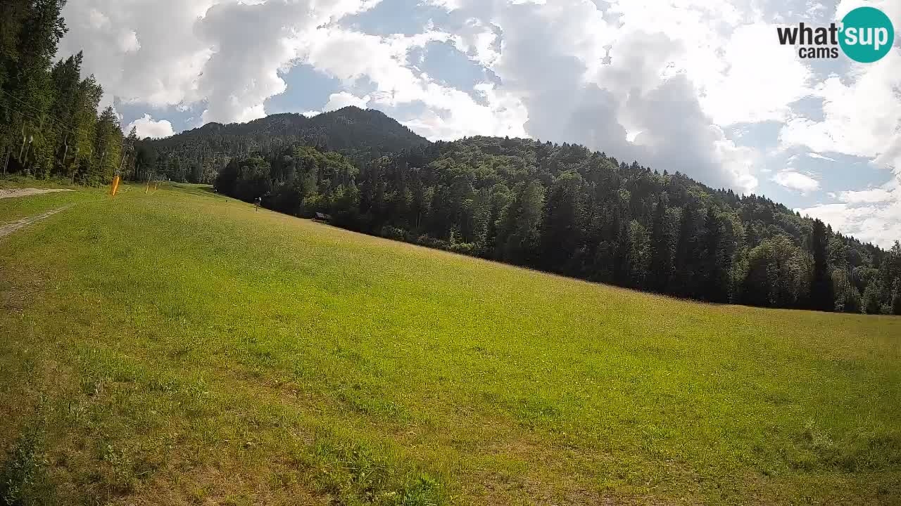 RTC Skigebiet Kranjska Gora | Brsnina