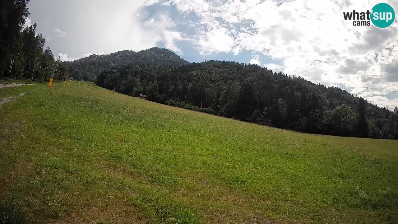 Ski Kranjska Gora | Brsnina