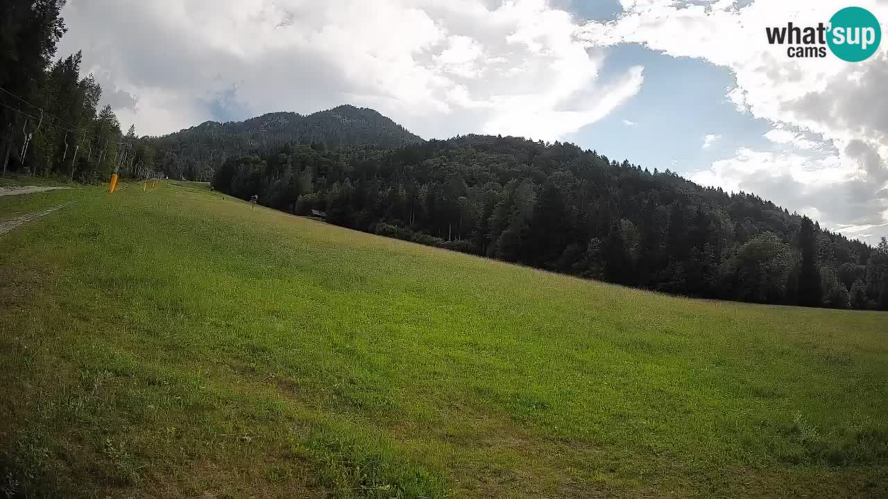 Ski Kranjska Gora | Brsnina