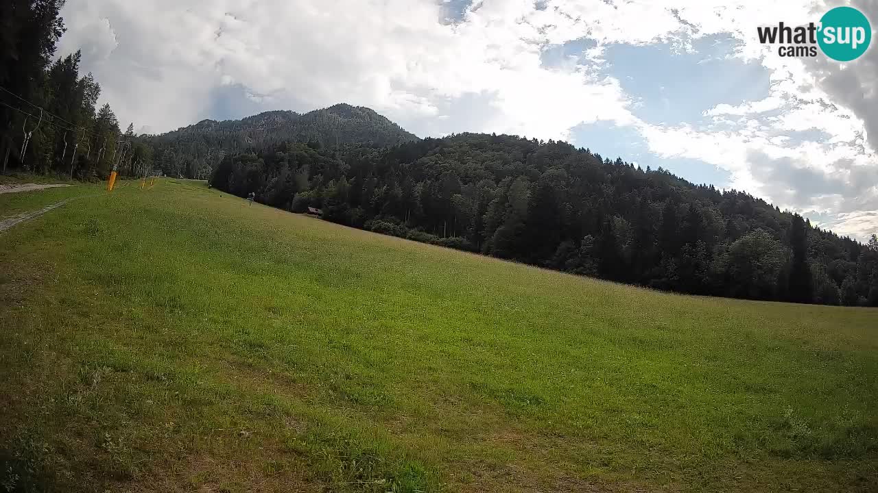 Comprensorio sciistico Kranjska Gora | Brsnina