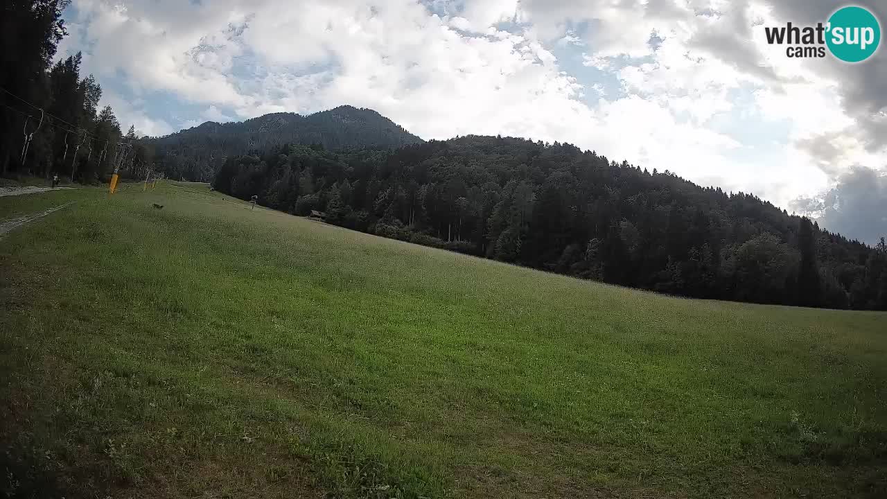 Ski Kranjska Gora | Brsnina