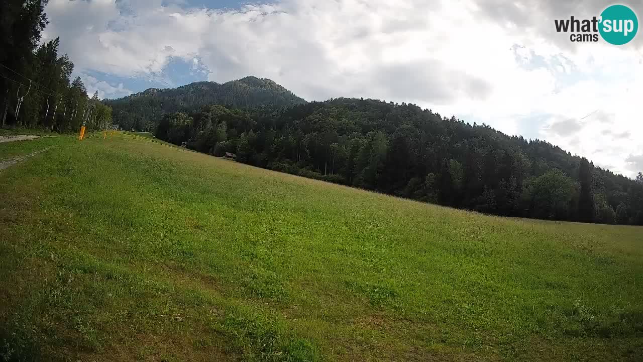 RTC Skigebiet Kranjska Gora | Brsnina