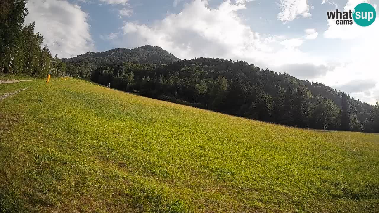 Esquí Kranjska Gora | Brsnina