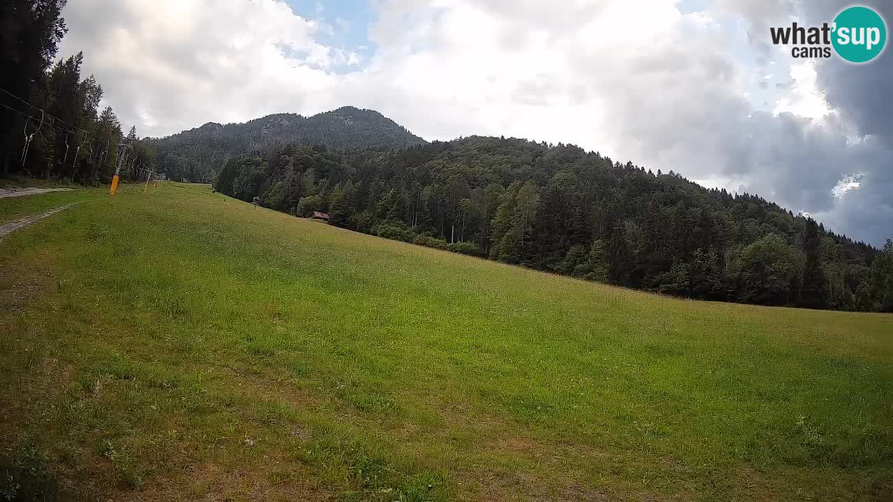 Ski Kranjska Gora | Brsnina