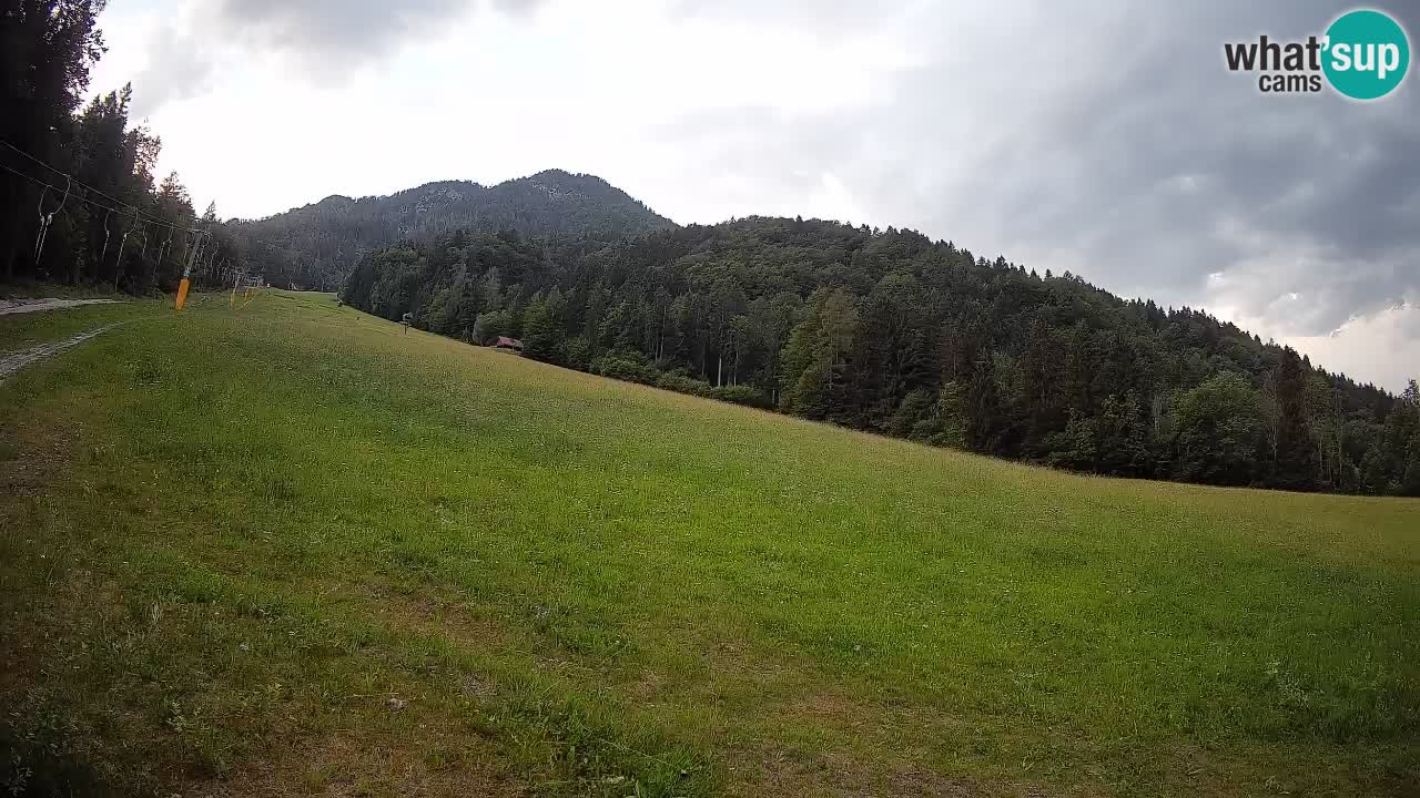 Esquí Kranjska Gora | Brsnina