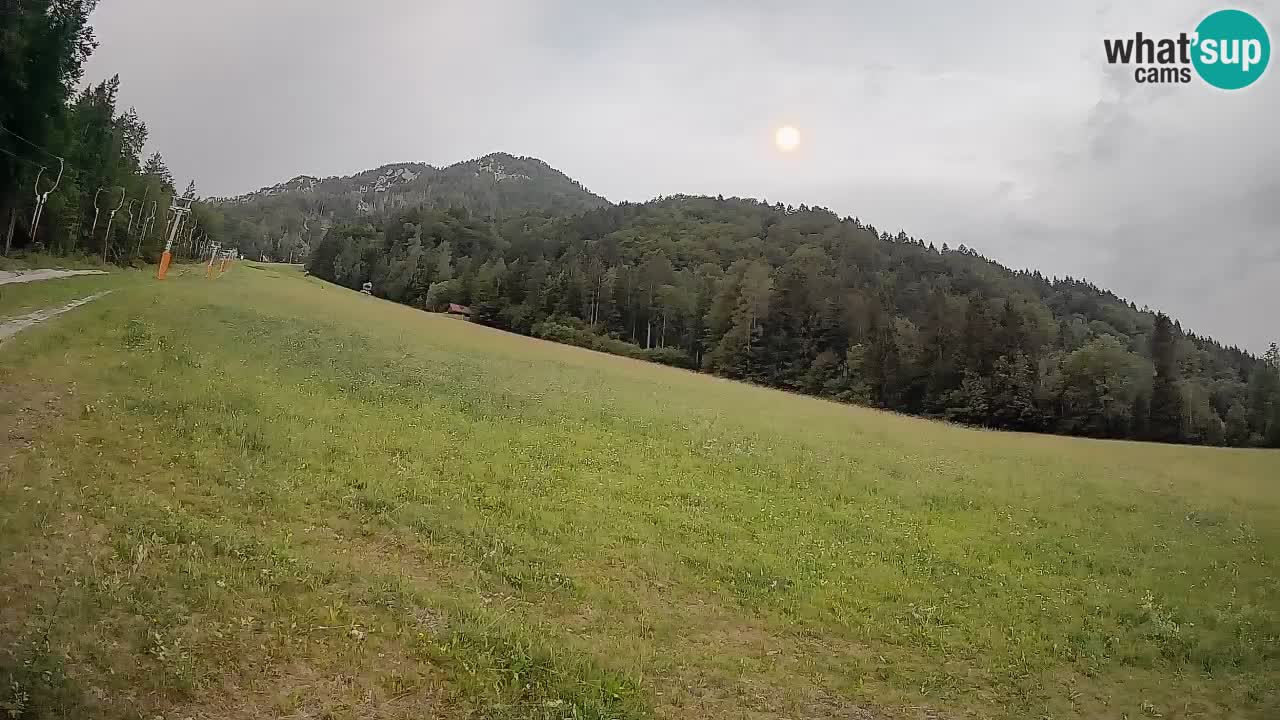 Ski Kranjska Gora | Brsnina