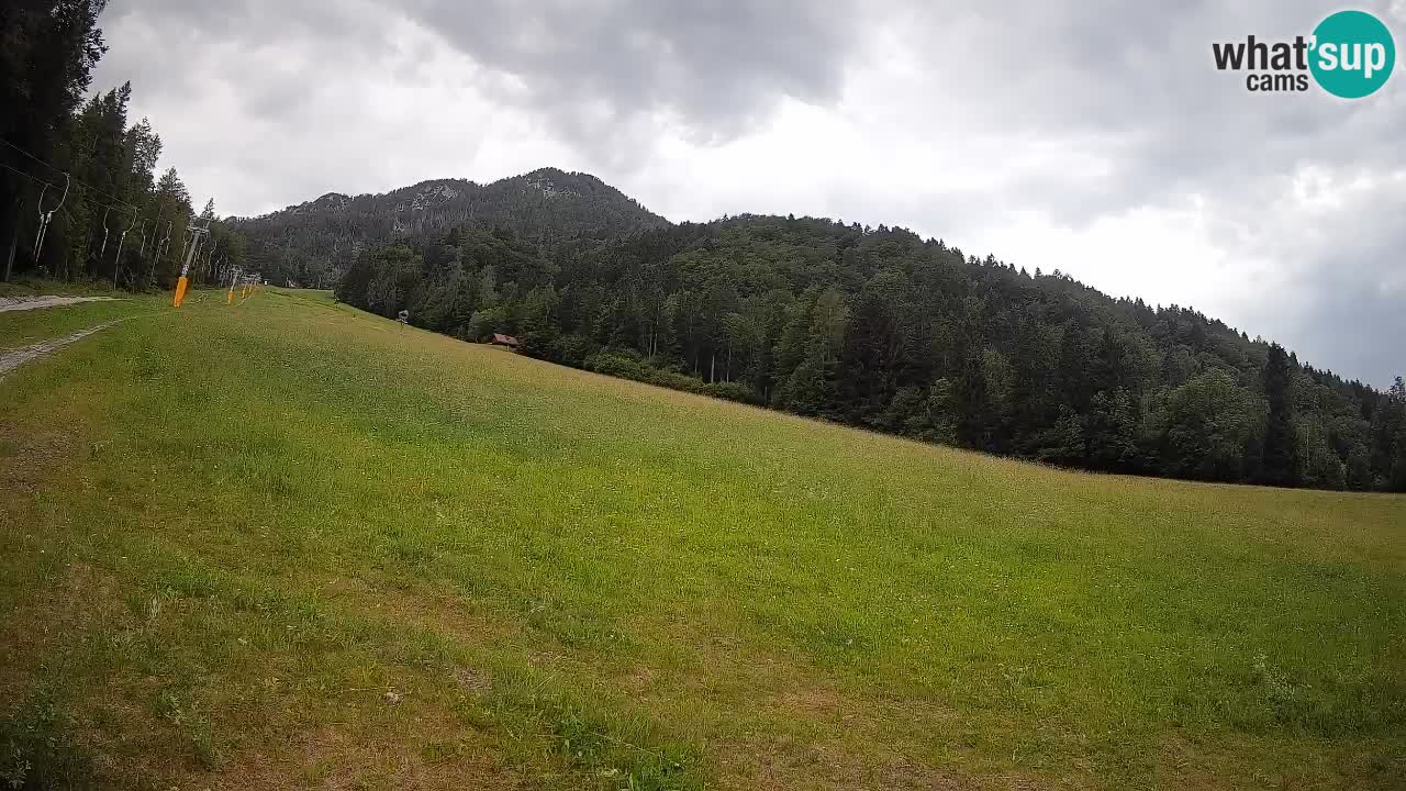 Kranjska Gora Station de ski | Brsnina