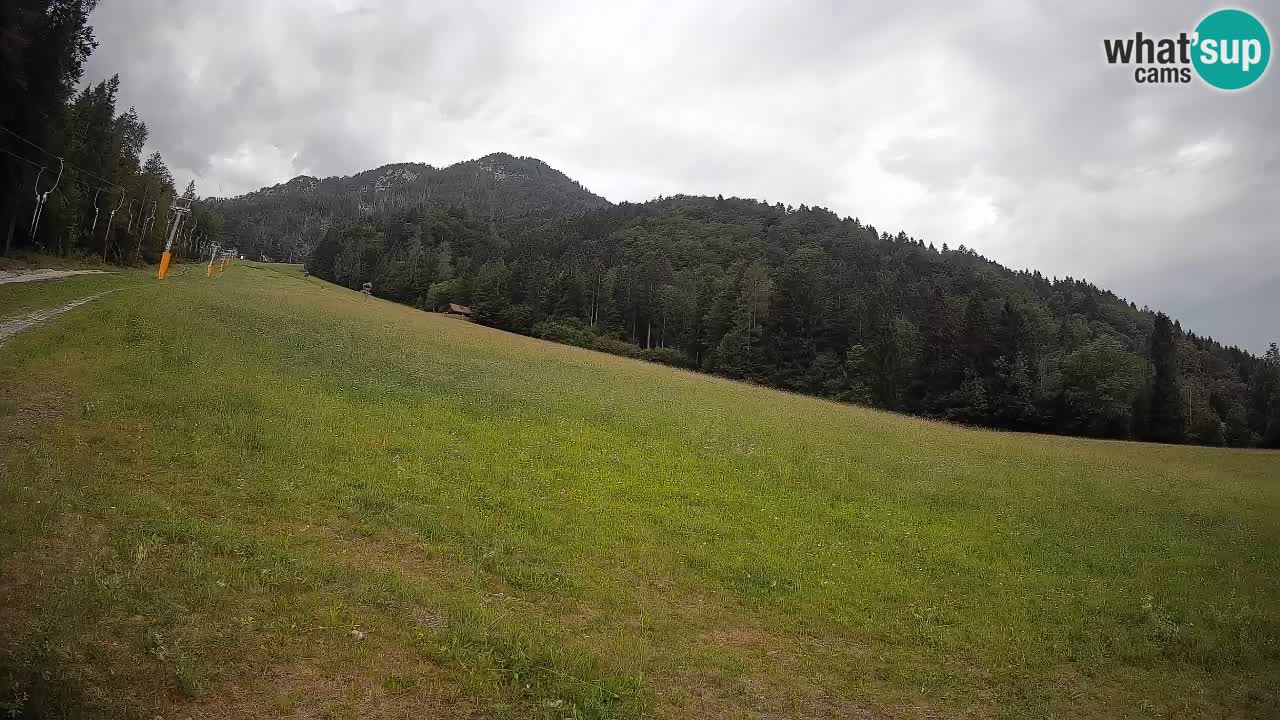 Esquí Kranjska Gora | Brsnina
