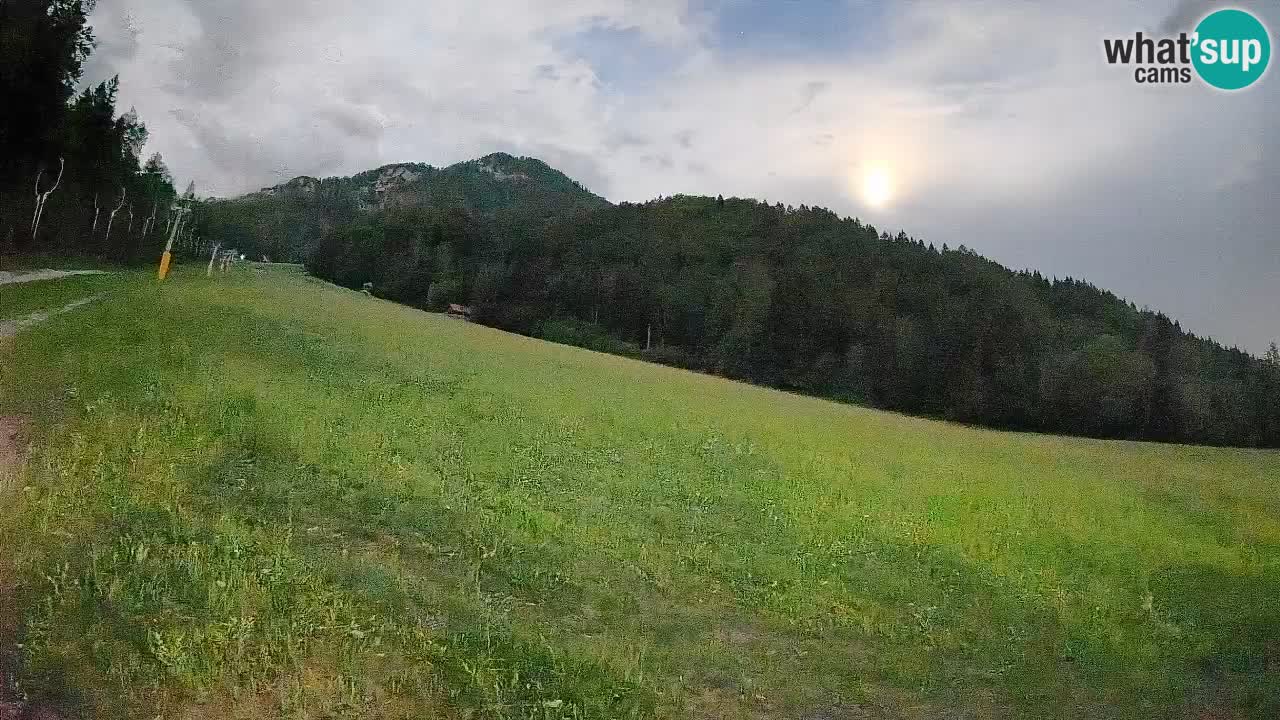 Ski Kranjska Gora | Brsnina