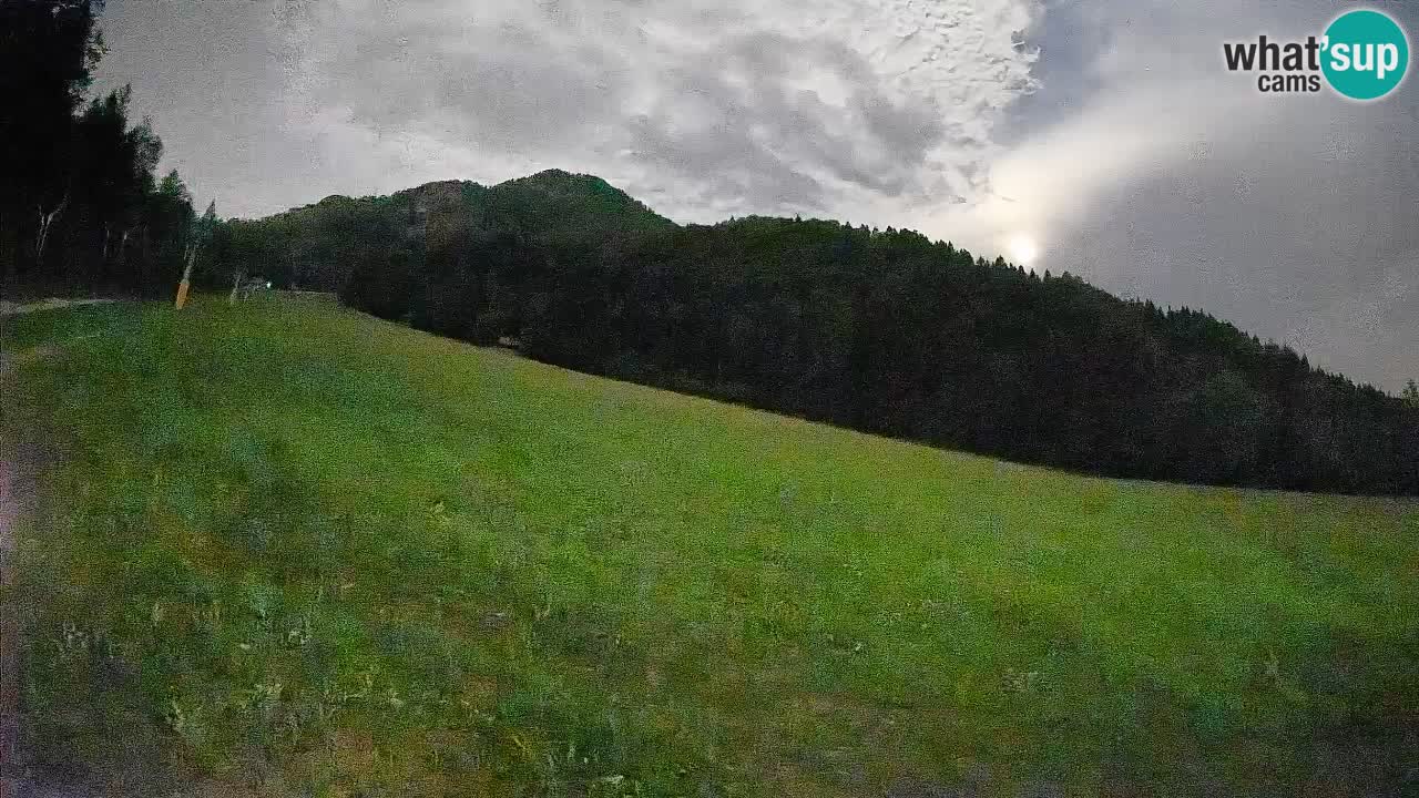 Kranjska Gora Station de ski | Brsnina