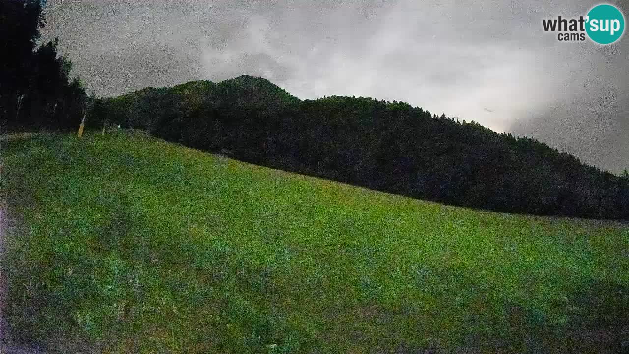 Comprensorio sciistico Kranjska Gora | Brsnina