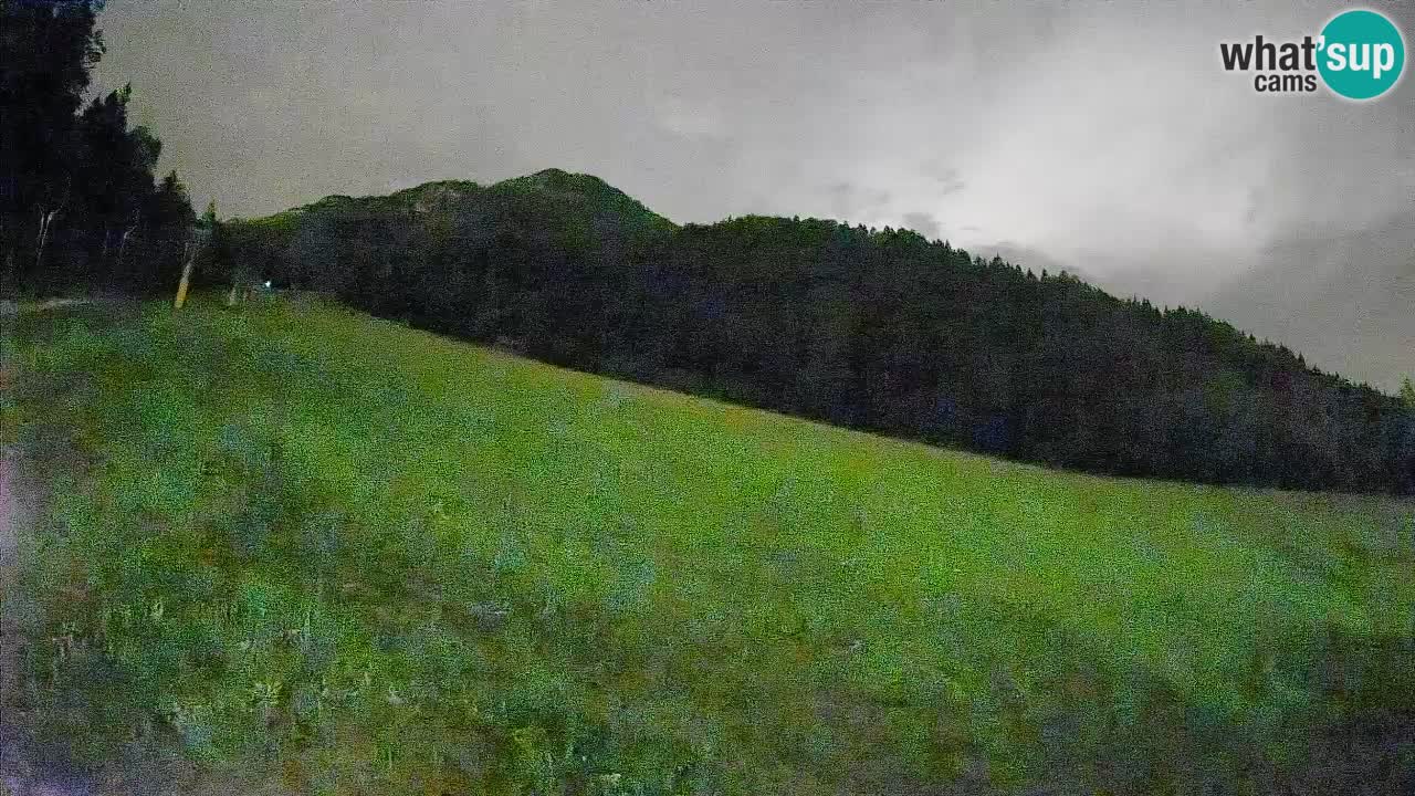 Esquí Kranjska Gora | Brsnina