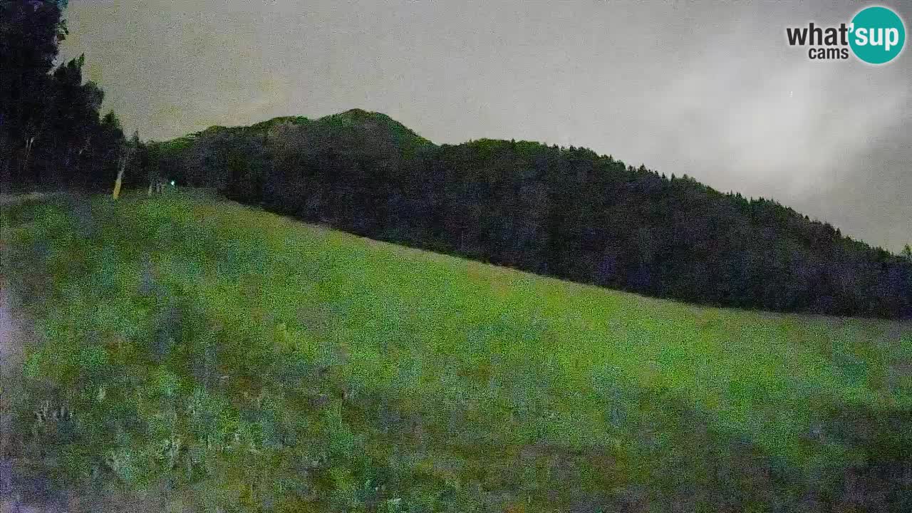 RTC Kranjska Gora | Brsnina