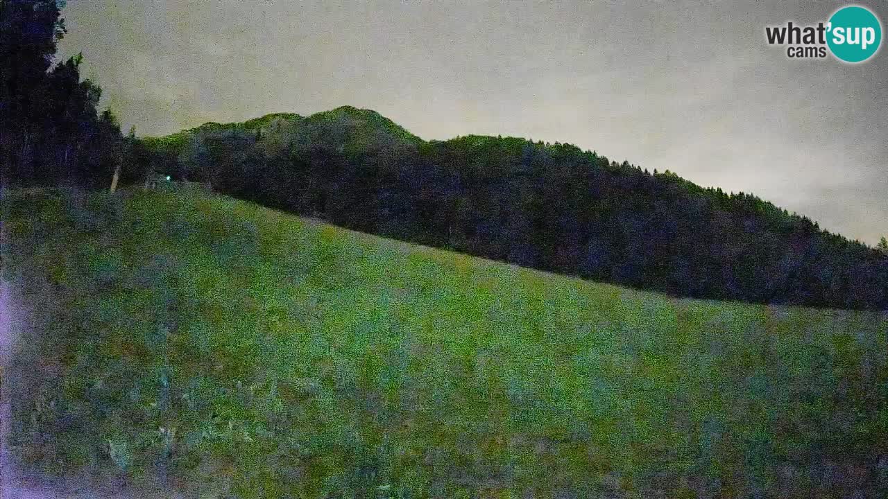 Comprensorio sciistico Kranjska Gora | Brsnina