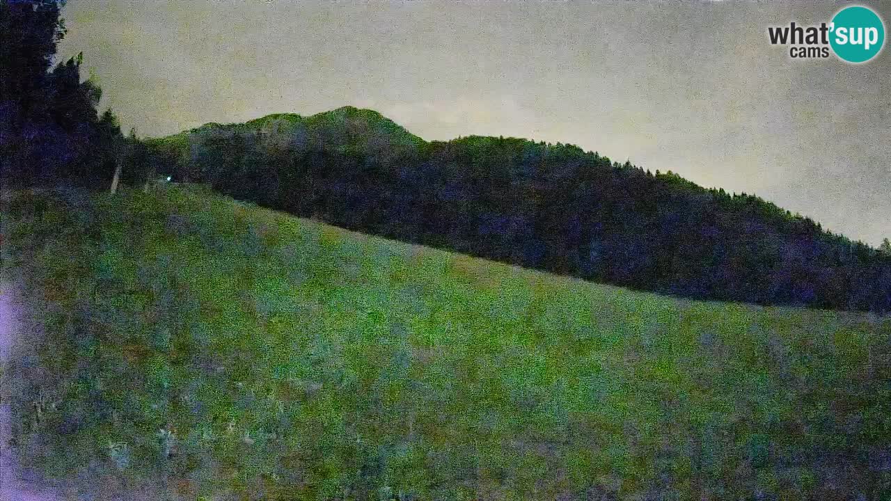RTC Kranjska Gora | Brsnina