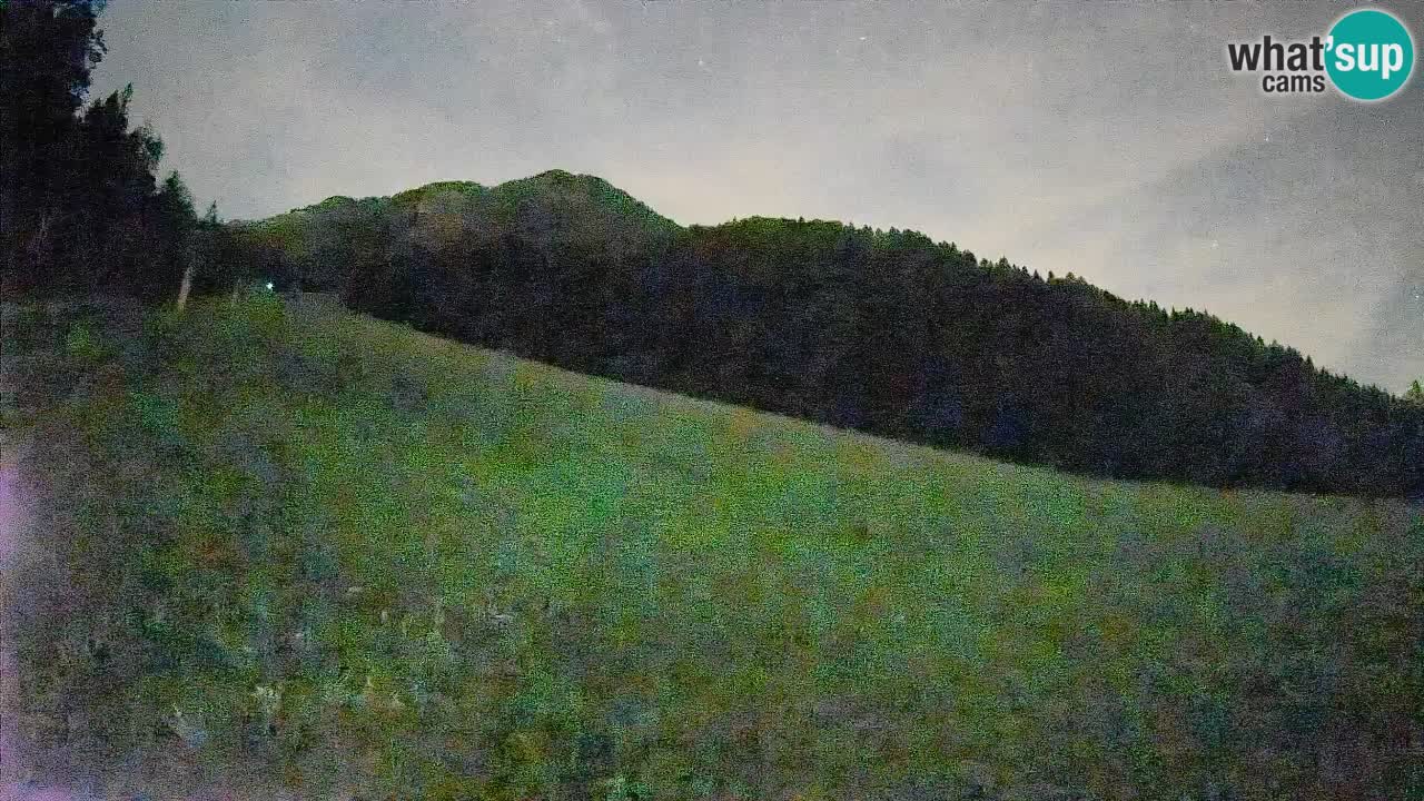 Ski Kranjska Gora | Brsnina