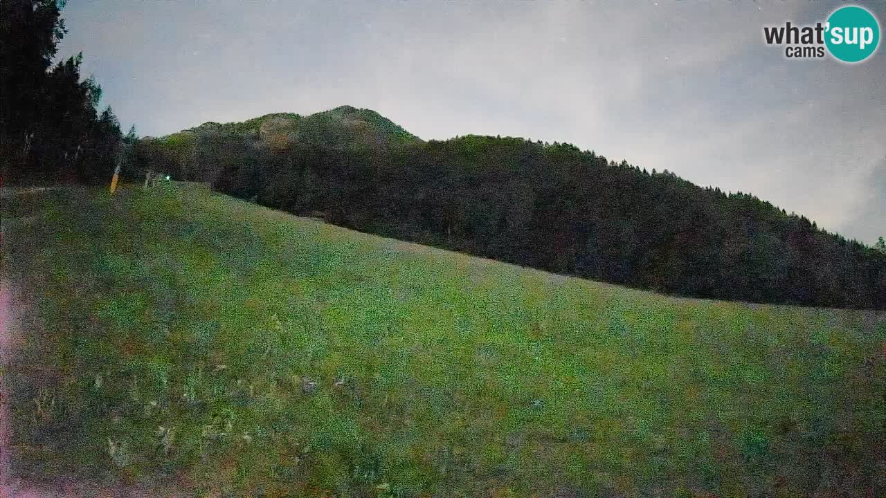 Ski Kranjska Gora | Brsnina