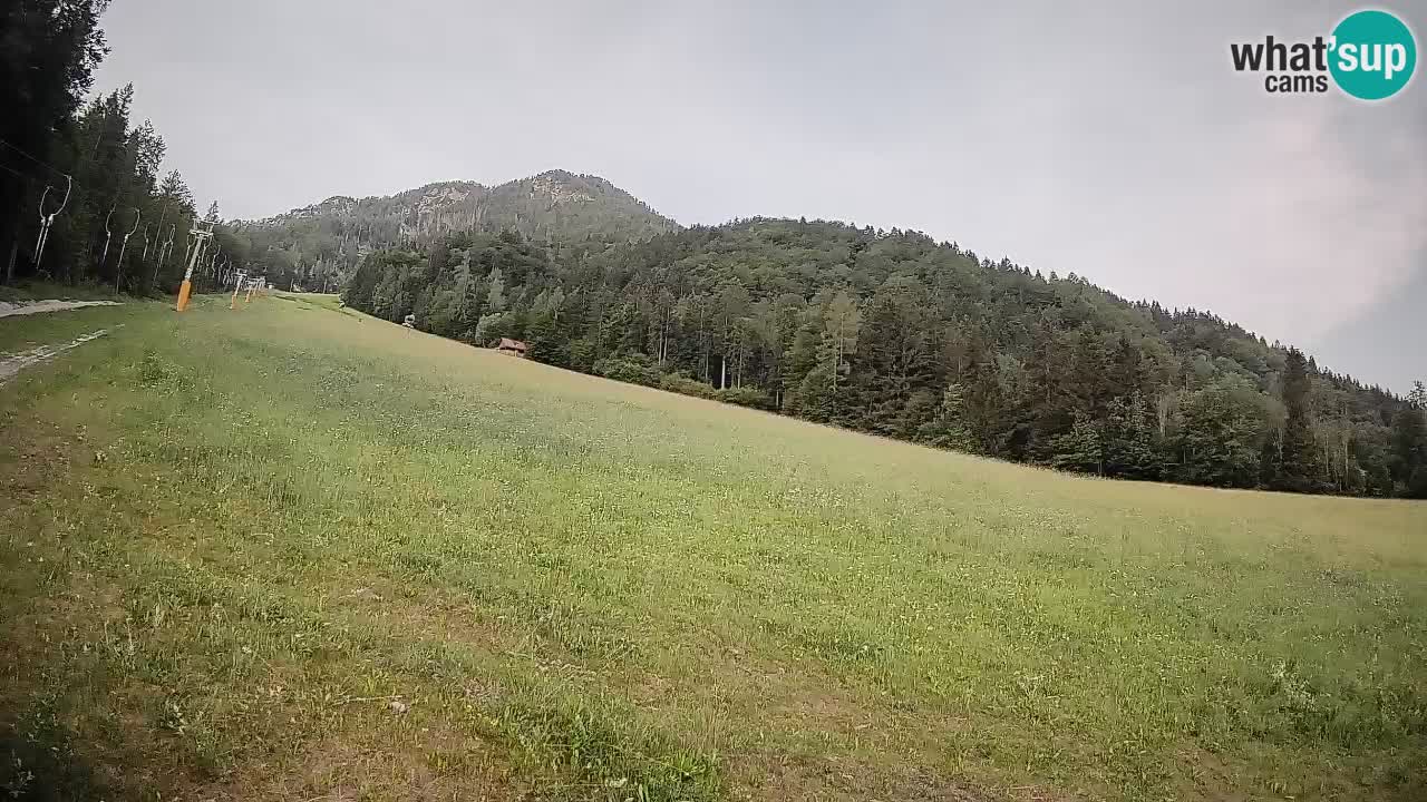 Ski Kranjska Gora | Brsnina
