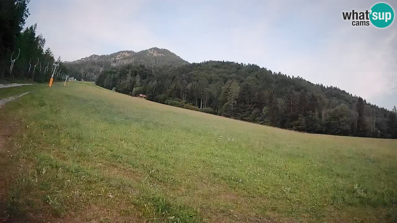 Ski Kranjska Gora | Brsnina