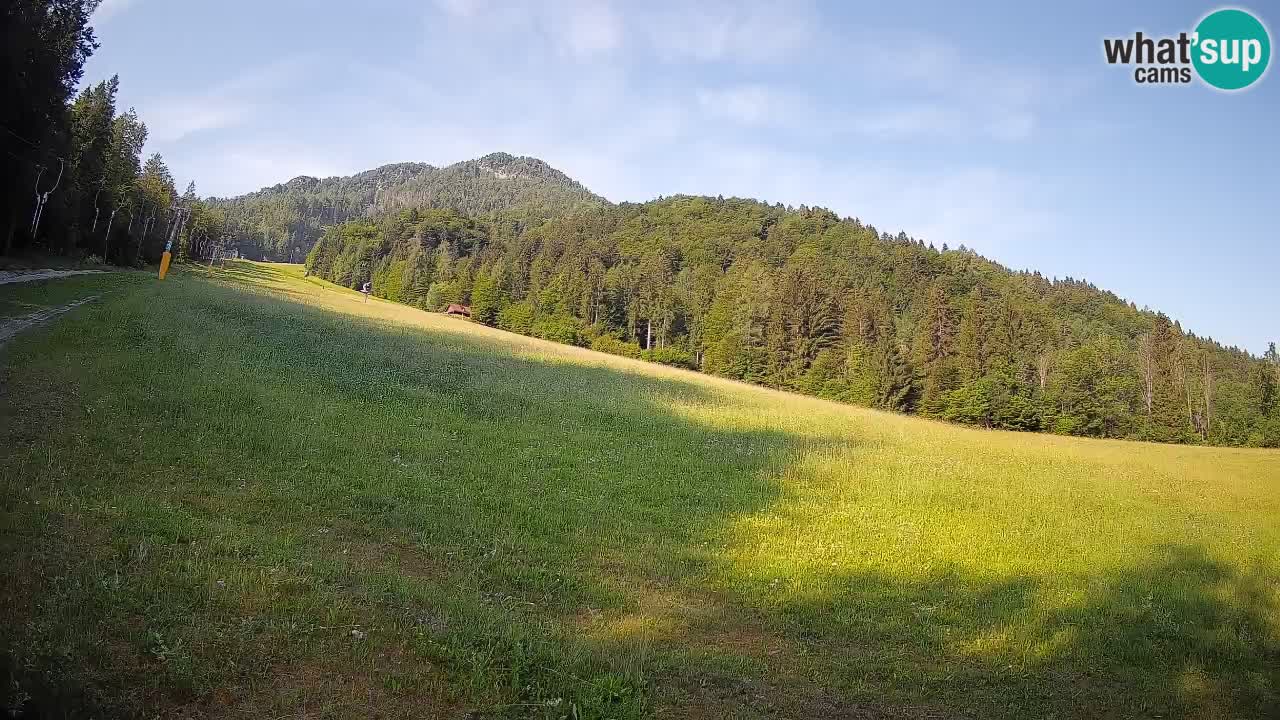 RTC Kranjska Gora | Brsnina