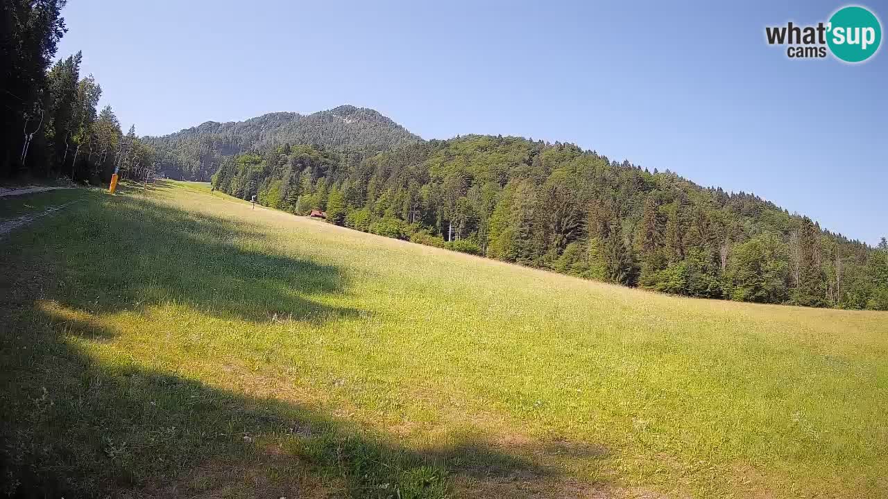 Ski Kranjska Gora | Brsnina