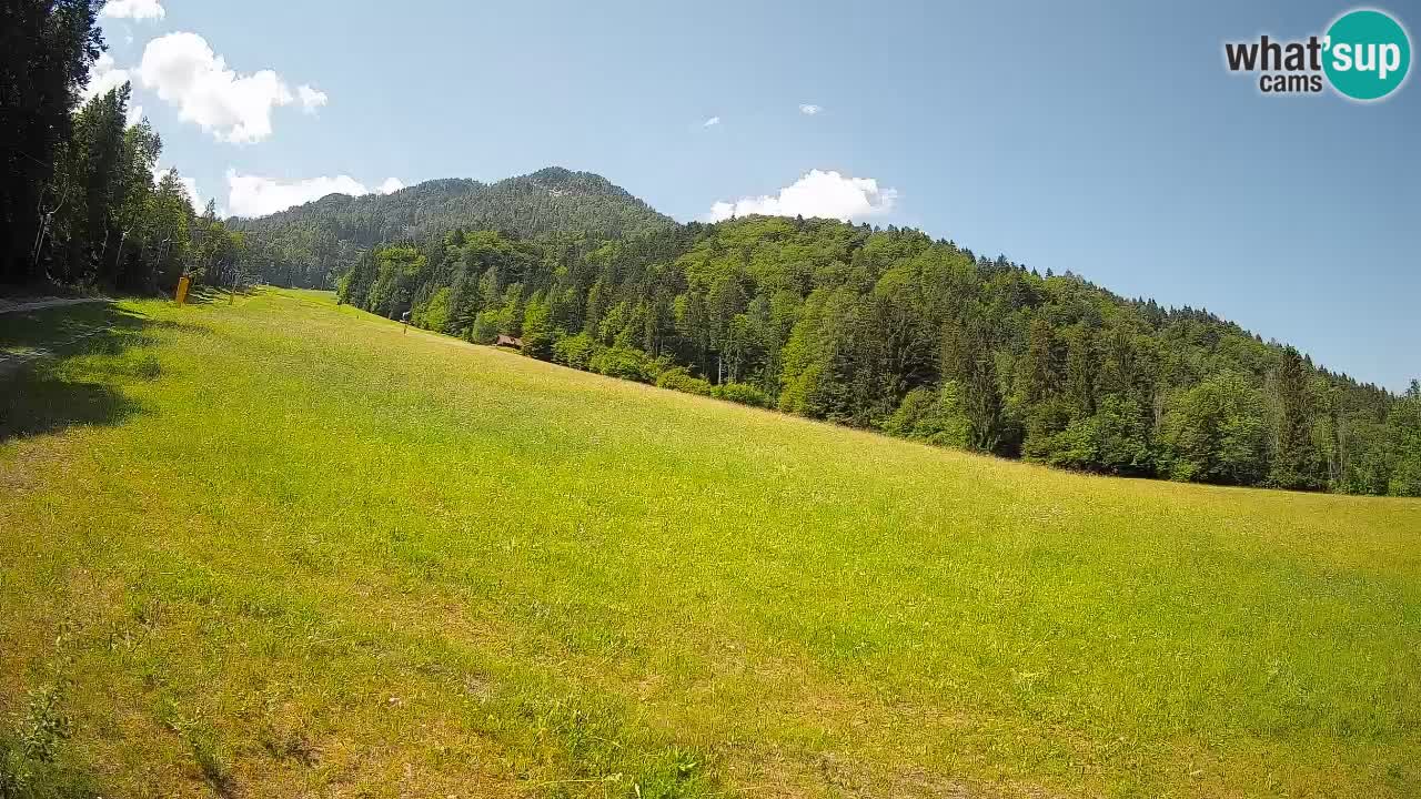 Kranjska Gora Station de ski | Brsnina