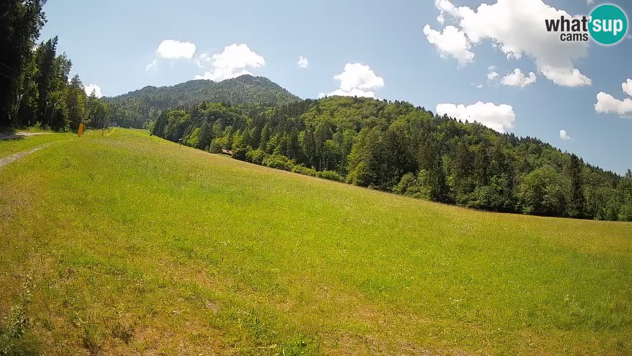 Kranjska Gora Station de ski | Brsnina
