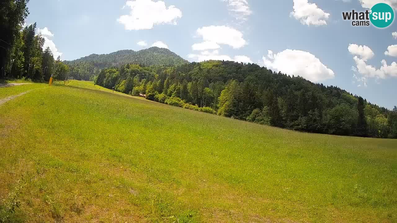 Kranjska Gora Station de ski | Brsnina