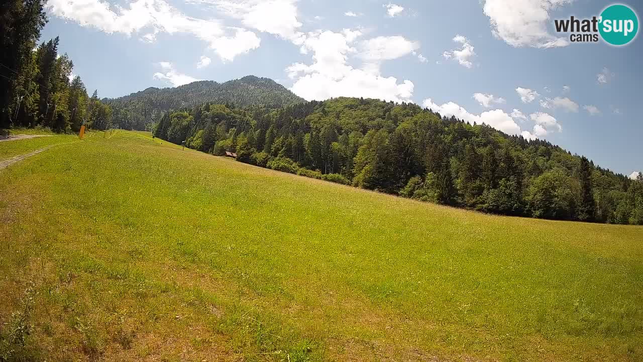 RTC Skigebiet Kranjska Gora | Brsnina