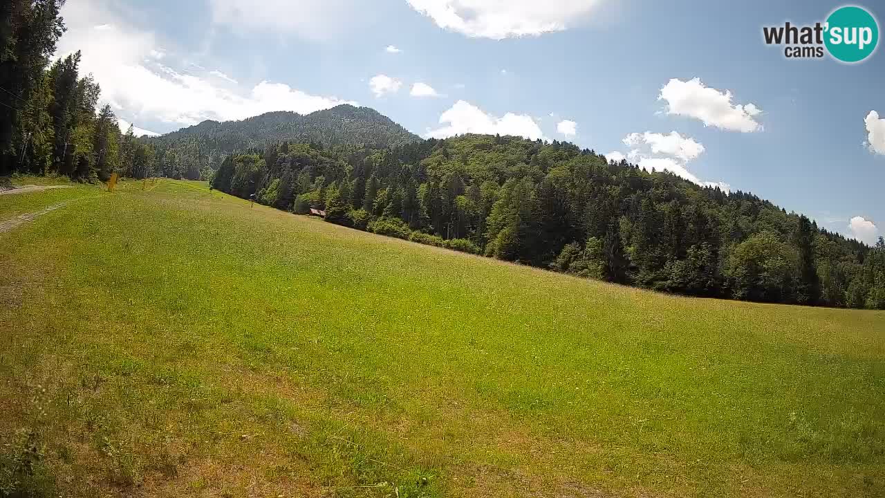 Kranjska Gora Station de ski | Brsnina