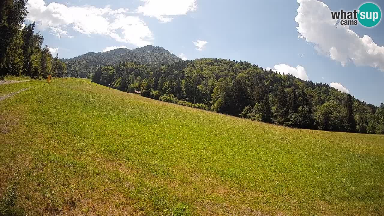 Kranjska Gora Station de ski | Brsnina