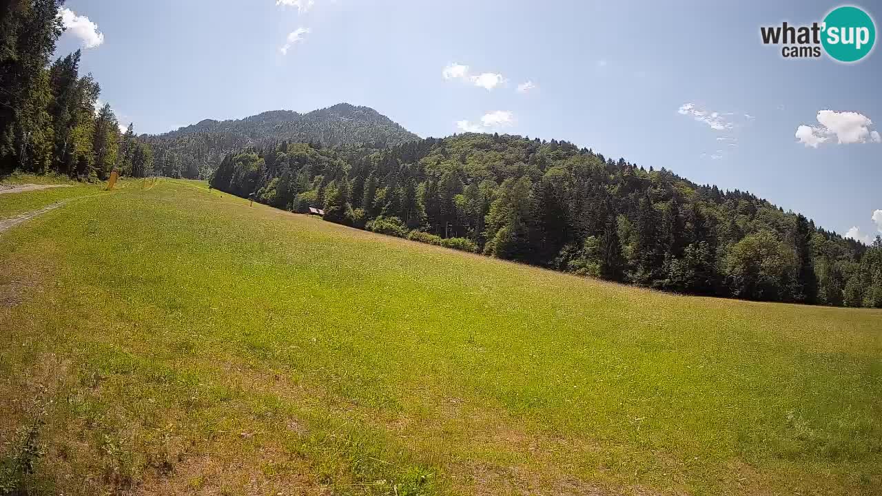 Esquí Kranjska Gora | Brsnina