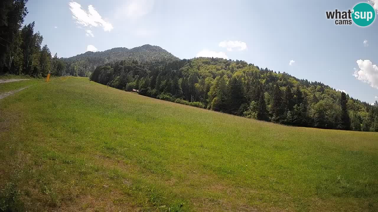 RTC Kranjska Gora | Brsnina