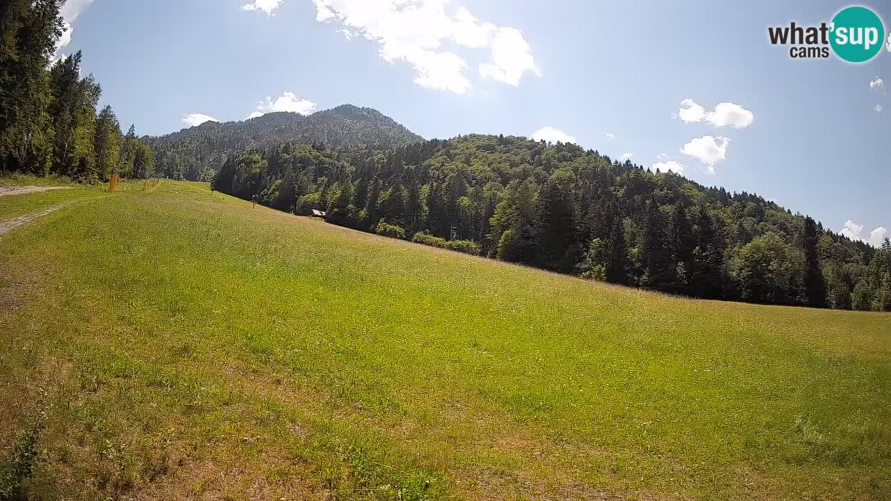 Esquí Kranjska Gora | Brsnina