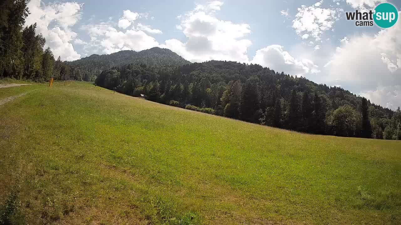 Esquí Kranjska Gora | Brsnina