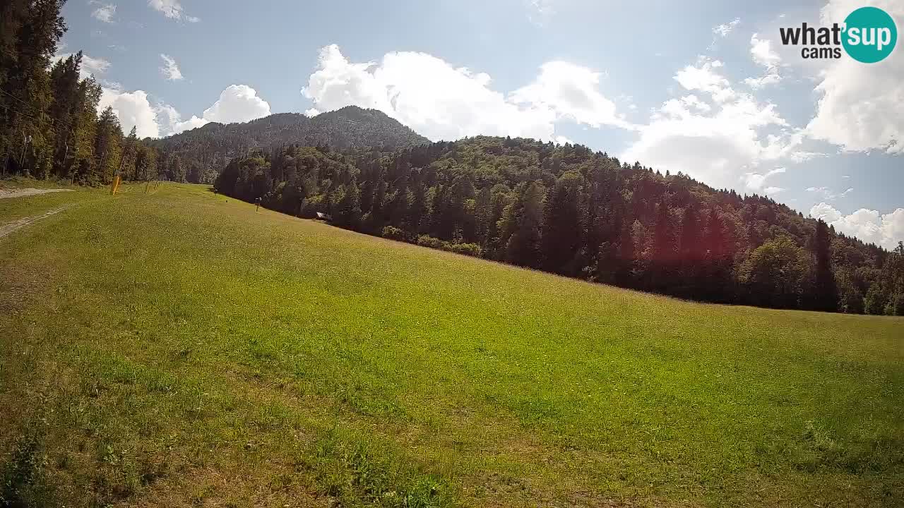 RTC Kranjska Gora | Brsnina