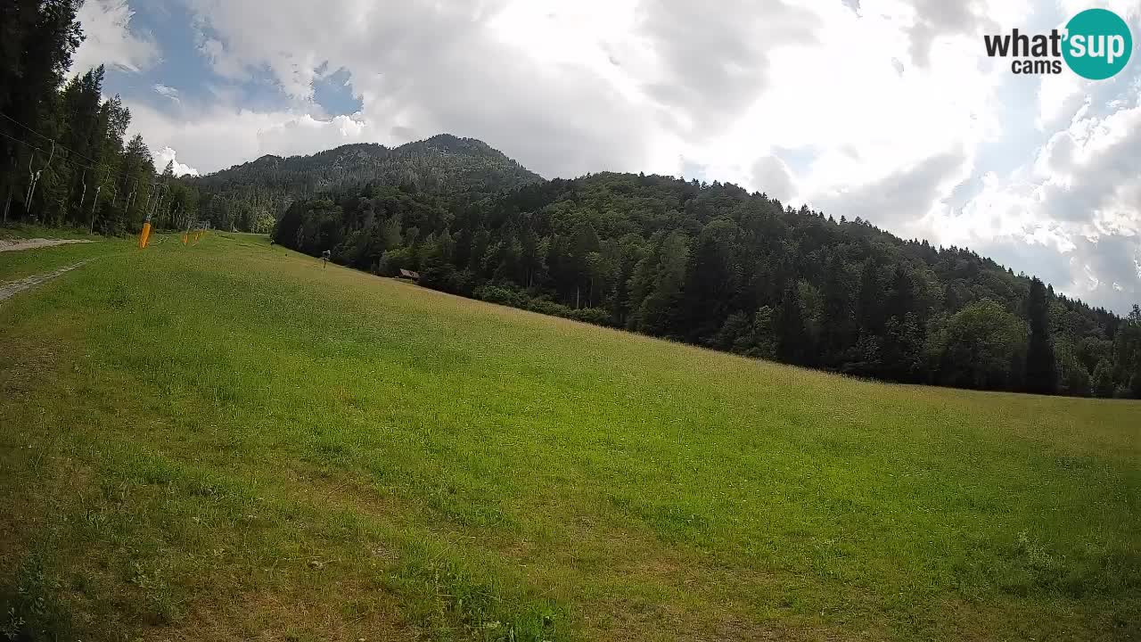 Kranjska Gora Station de ski | Brsnina