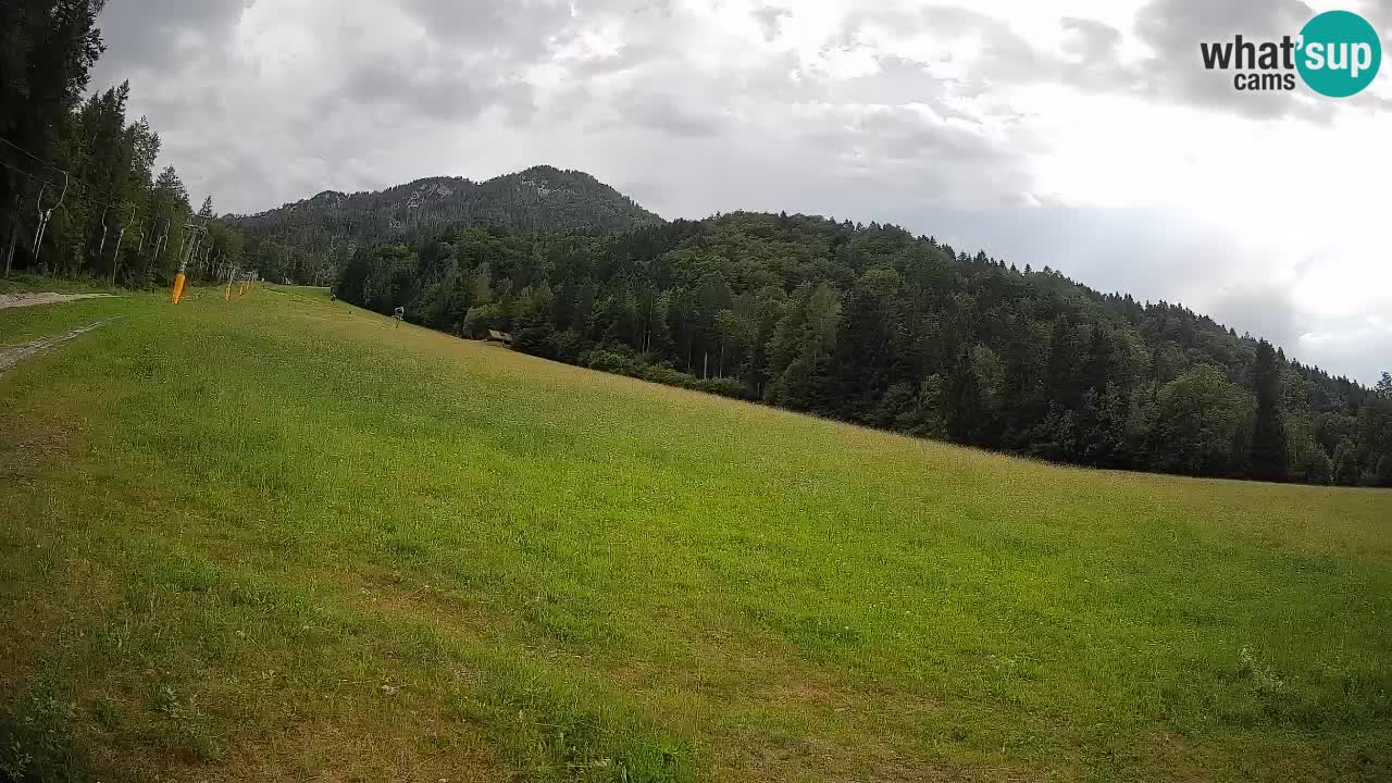 RTC Kranjska Gora | Brsnina